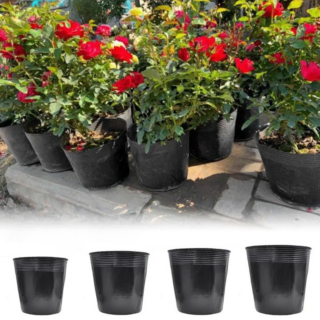 Godet Plastique pour Semis