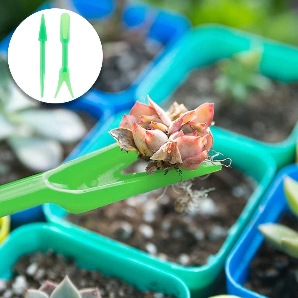 Godet Semis Biodégradable plante