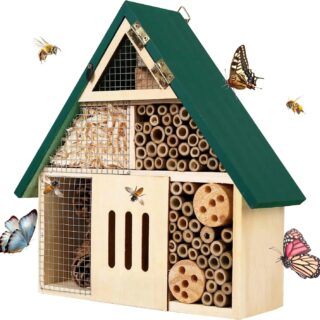 Hôtel à Insectes Vert