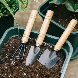 Kit Mini Jardin