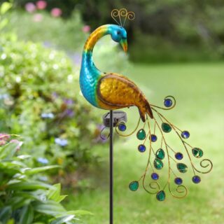 Lampe Solaire Jardin Paon