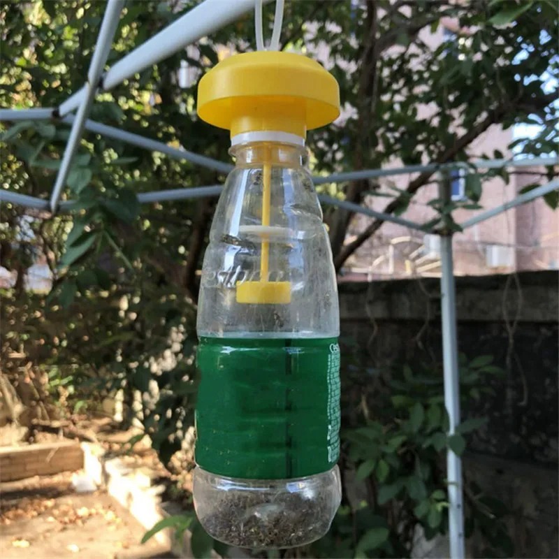 Piège à Guêpes Bouteille en Plastique