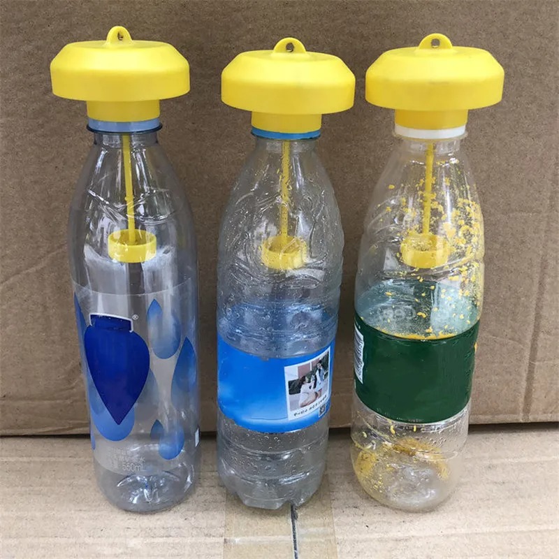 Piège à Guêpes Bouteille en Plastique bouteilles