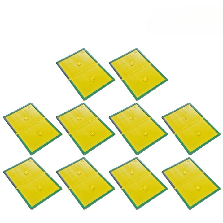 Piège à Souris Colle 10