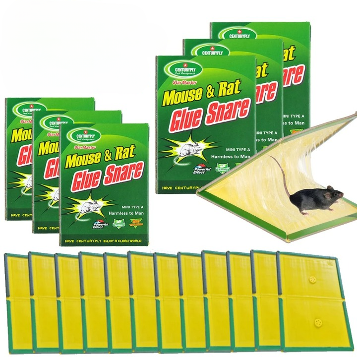 Piège à Souris Colle Piège à Souris Colle