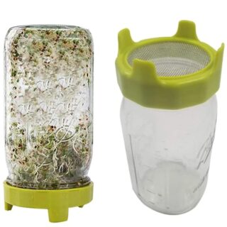 Pot de Germination