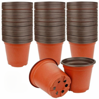 Pot de Pépinière
