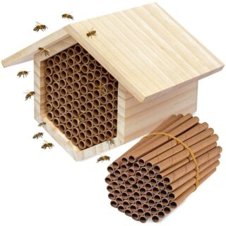 Recharge Tube Hôtel à Insectes (50 pièces)