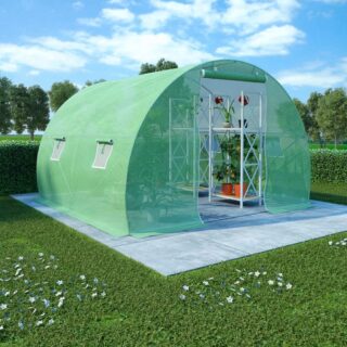 Serre de Jardin Tunnel 6m²