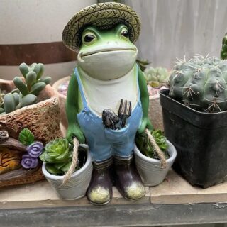 Statue Grenouille Jardinière