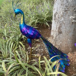 Statue de Jardin Paon