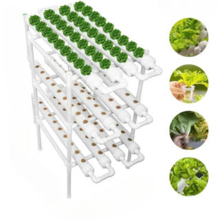 Système Hydroponique