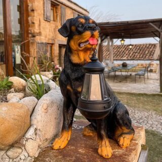 Veilleuse de Jardin Extérieur Chien
