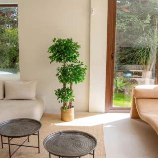 Arbre ficus artificiel pour intérieur et extérieur