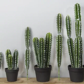 Cactus longs artificiels sans pot