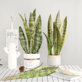 Feuilles de plantes tropicales artificielles tiges
