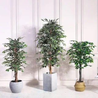 Ficus artificiel plastique grande plante avec pot