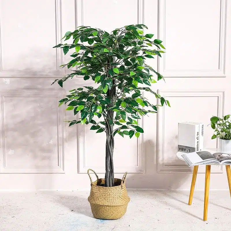 Ficus artificiel plastique grande plante avec pot
