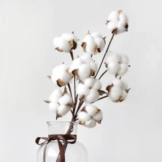 Fleurs de coton blanches artificielles