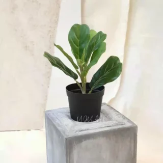 Grande branche de faux Ficus pour la maison
