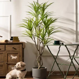 Grande plante artificielle d’intérieur