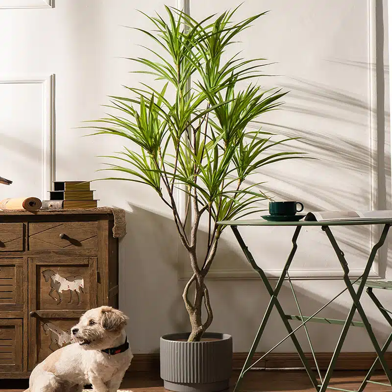 Grande plante artificielle d’intérieur Grande plante artificielle d’intérieur