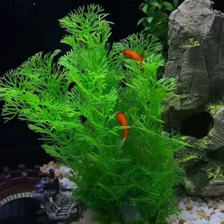 Grande plante verte artificielle d’aquarium