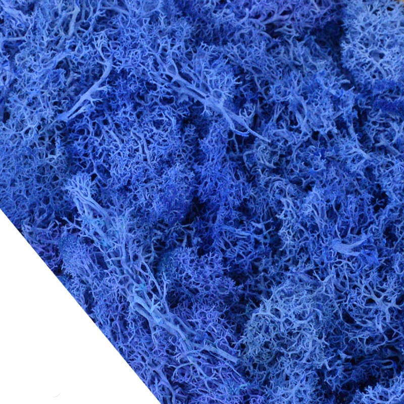 Lot de 4O g de mousse artificielle colorée décorative