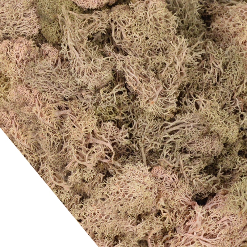 Lot de 4O g de mousse artificielle colorée décorative