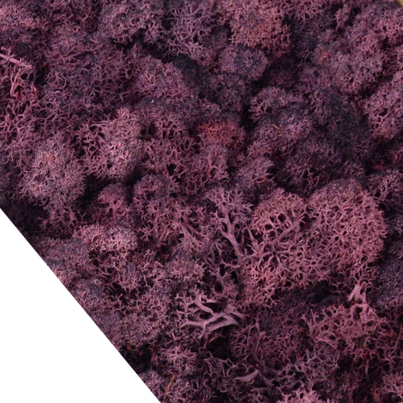 Lot de 4O g de mousse artificielle colorée décorative