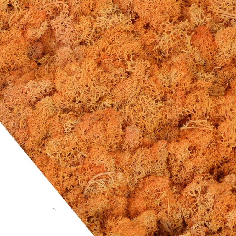 Lot de 4O g de mousse artificielle colorée décorative