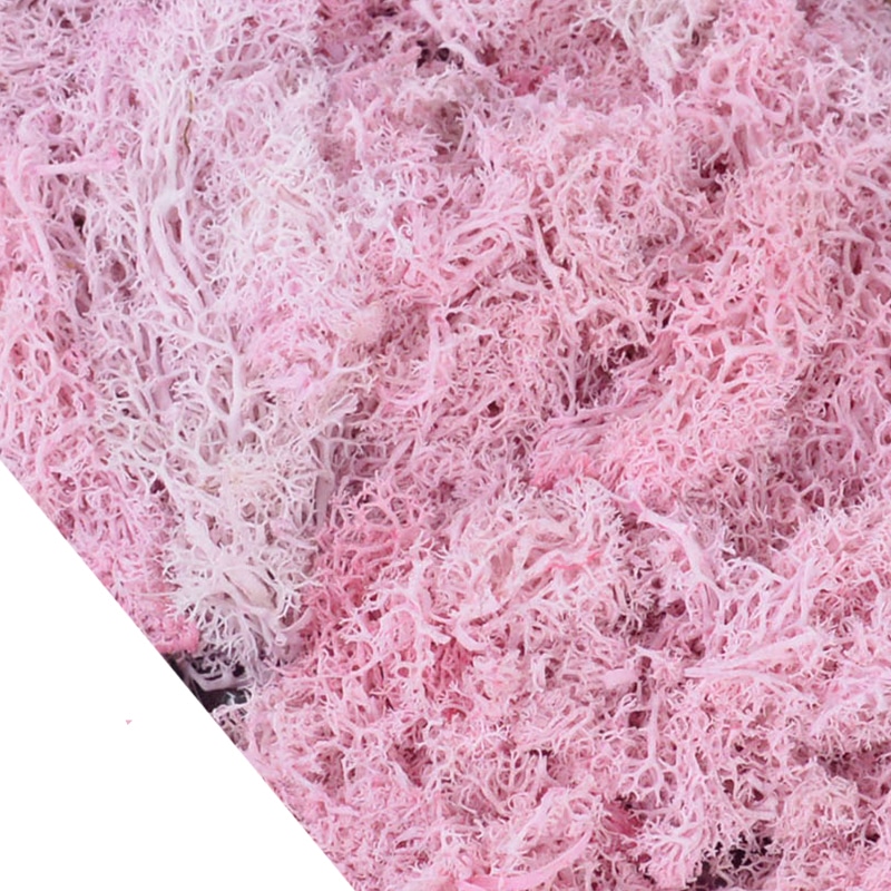 Lot de 4O g de mousse artificielle colorée décorative