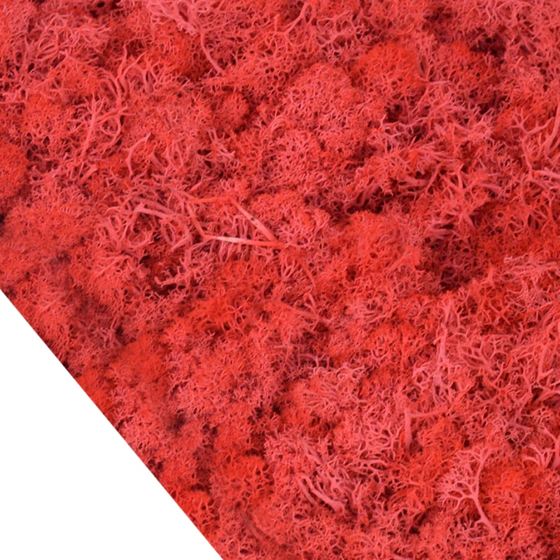 Lot de 4O g de mousse artificielle colorée décorative