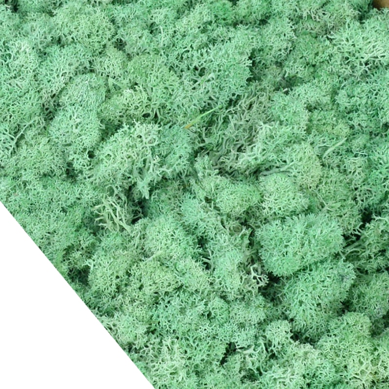 Lot de 4O g de mousse artificielle colorée décorative