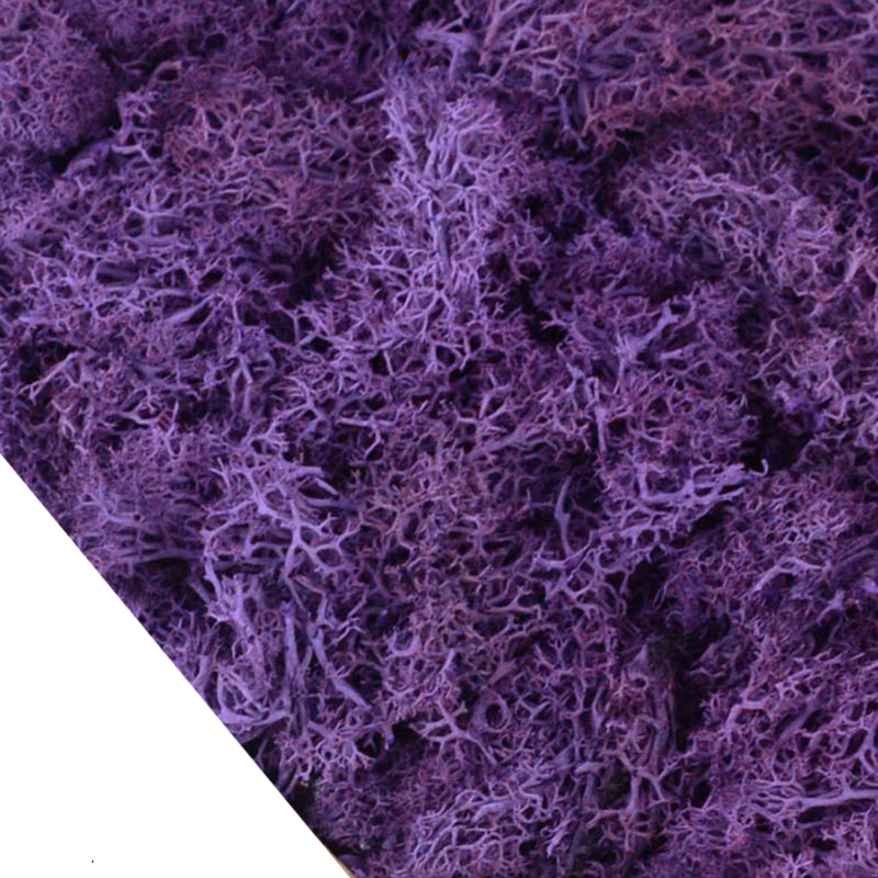 Lot de 4O g de mousse artificielle colorée décorative