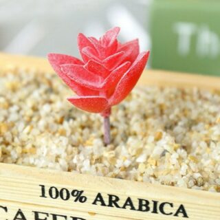 Mini plante succulente artificielle