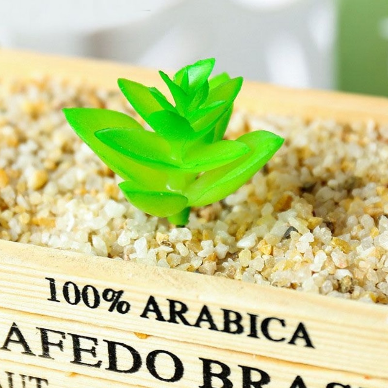 Acheter Des Plante Succulente Artificielle Tillandsia Ionantha LUANI