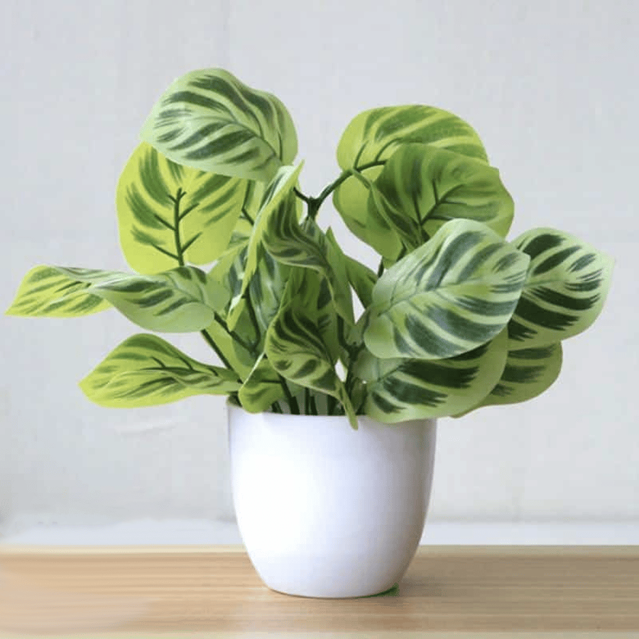 Plante artificielle Calathea en pot