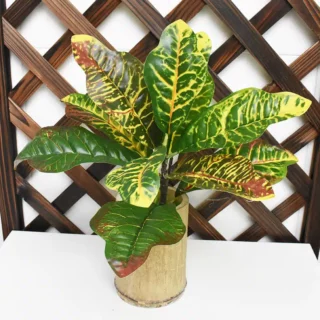 Plante artificielle croton