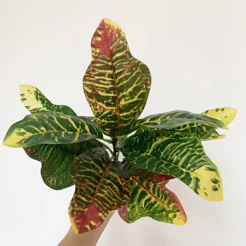 Plante artificielle croton