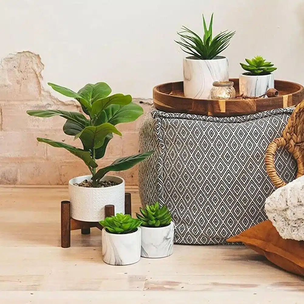 Plante de bureau feuilles de ficus artificielles