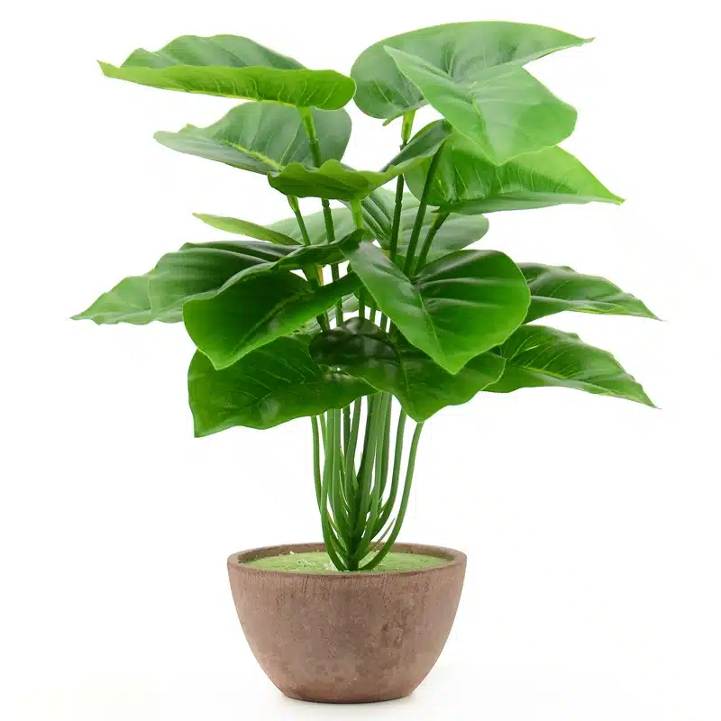 Plante de bureau scindapsus artificiel Plante de bureau scindapsus artificiel