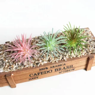 Plante succulente artificielle