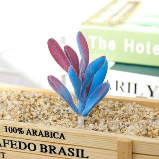 Plante succulente artificielle colorée