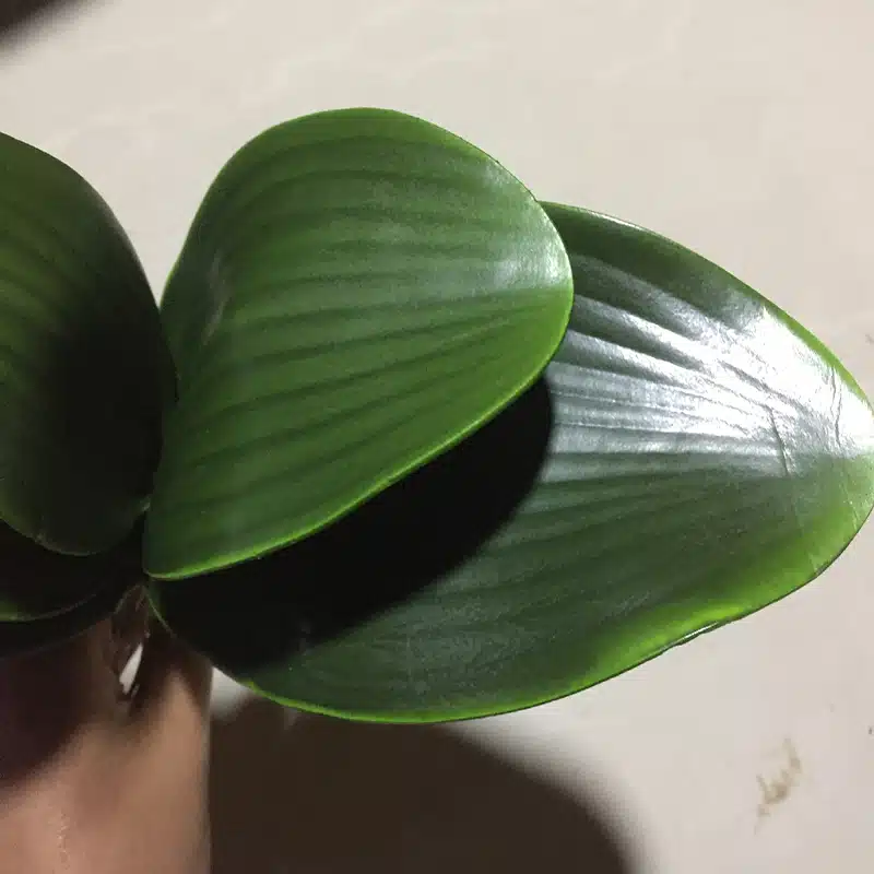 Quatre feuilles d’orchidées artificielles décoratives