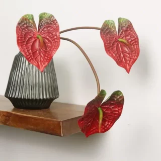 Tige artificielle Anthurium multicouleur