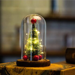 Mini Sapin Lumineux sous Cloche